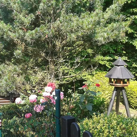 בית נופש Woodland ווינטרברג