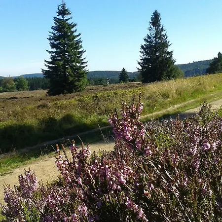 בית נופש Woodland ווינטרברג